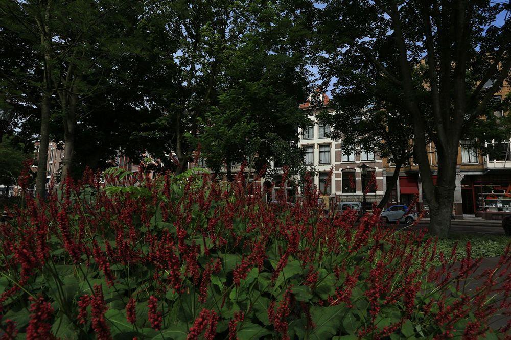 Hôtel Frederik Park House à Amsterdam Extérieur photo